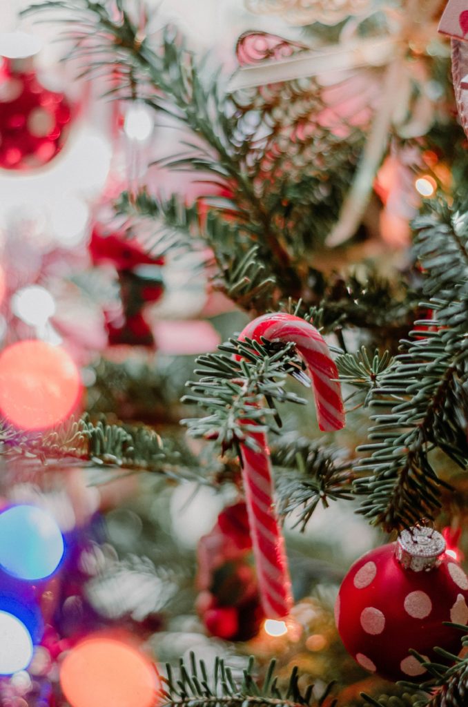 Sapin de noël Abies Nordman, longues aiguilles, candy accroché, boules de noël