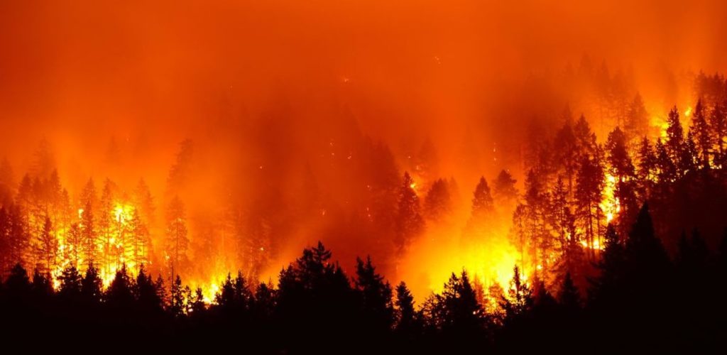 Forêt amazonienne en feu