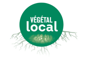 Logo végétal local