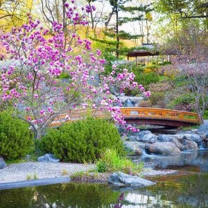 Jardin Japonais