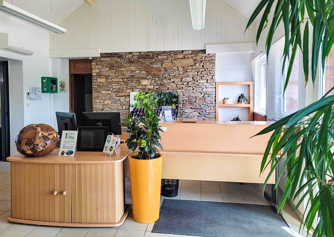Accueil moderne avec plantes et comptoir en bois.
