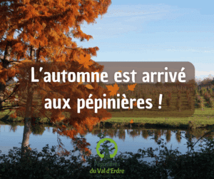 évènement,pépinières,automne,conseils,miel,octobre rose,pépinières du val d'erdre,visite école,arrivage,fleurs,plantes,dons